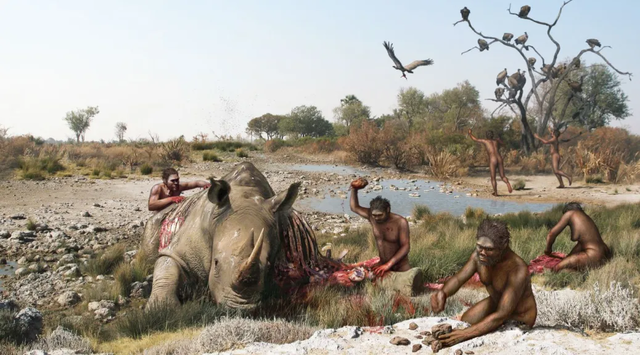 Alimentación - Homo habilis