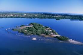 Pelican Island