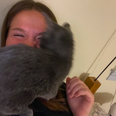 Timeline: Tsunami Timetoast