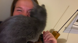 Timeline: Tsunami Timetoast