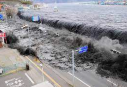 Tohoku Earthquake (Japan)