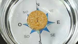 La brújula y la navegación