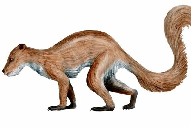 Llegada de los primates