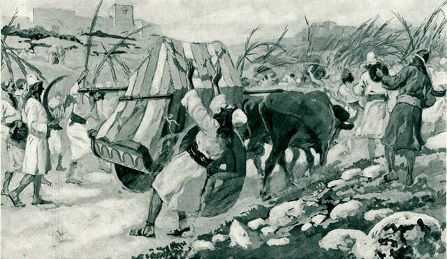 Ark brought to Abinadab's House