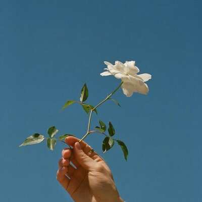 Timeline: Educación para la paz