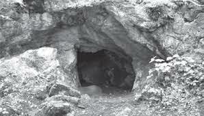 Brian's First Shelter