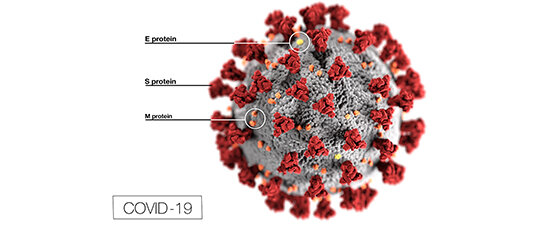 Major Points of Relevancy