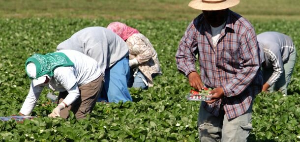 Nuevas oportunidades