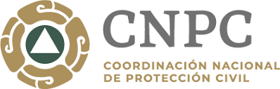 Dirección General de Protección