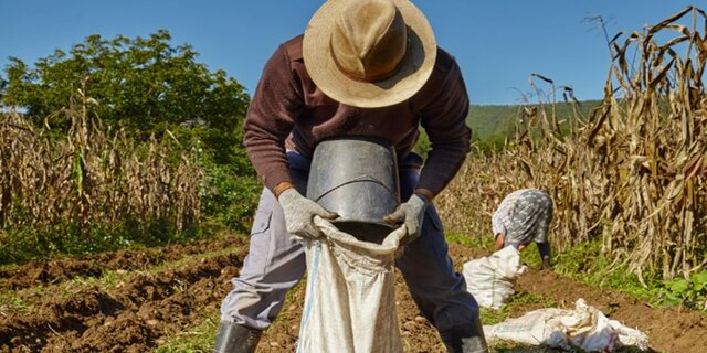 Alien Contract Labor Law