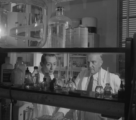 Discovery of Insulin (Social)