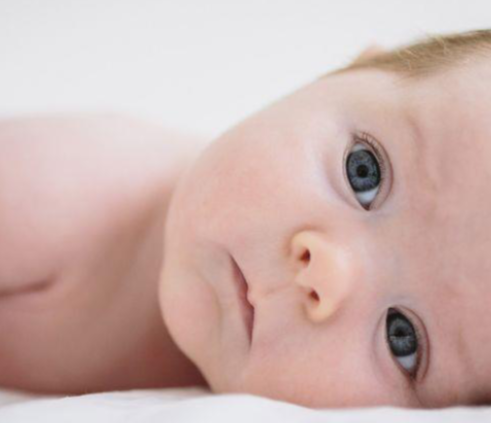 Reflejos Permanentes 2