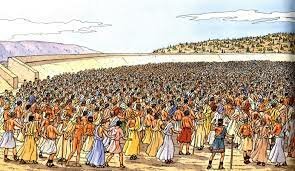 les droit des citoyen