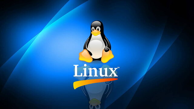 Linux Kernel