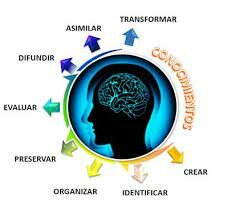 Origen de la Sociedad del conocimiento