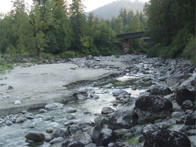 Gold found in Fraser River