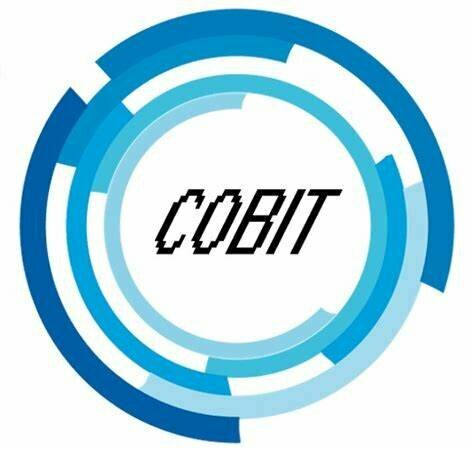 Primera edición de COBIT