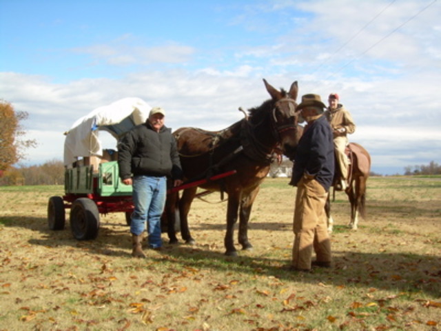 Done in and Done for