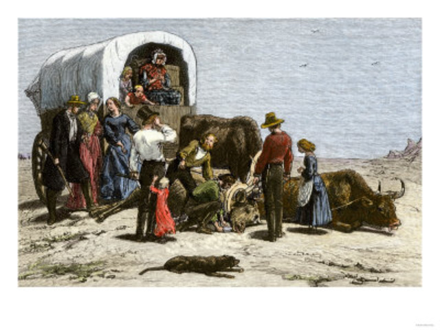 Done In and Done For