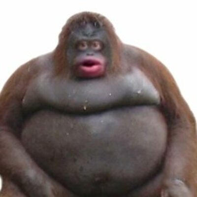 Timeline: 1. verdenskrig