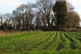 Lord Townshend introduce el Sistema Norfolk en la agricultura.