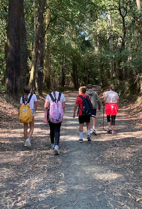 Hago el camino de Santiago