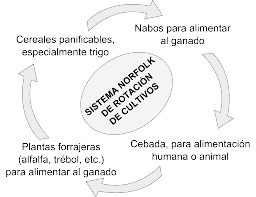 Lord Townshend introduce el sistema Norfolk en la agricultura