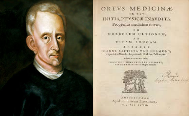 libro Ortus medicinae