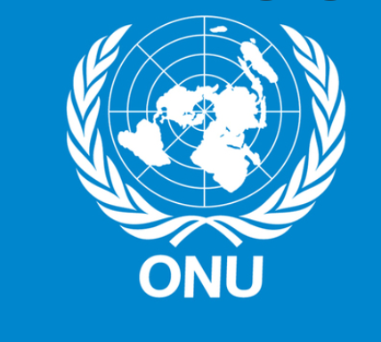 Organización de las Naciones Unidas