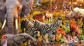 Timeline: Wild Animals