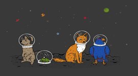 Timeline: Animals in space