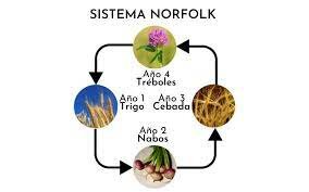 Lord Townshend introduce el Sistema Norfolk en la agricultura