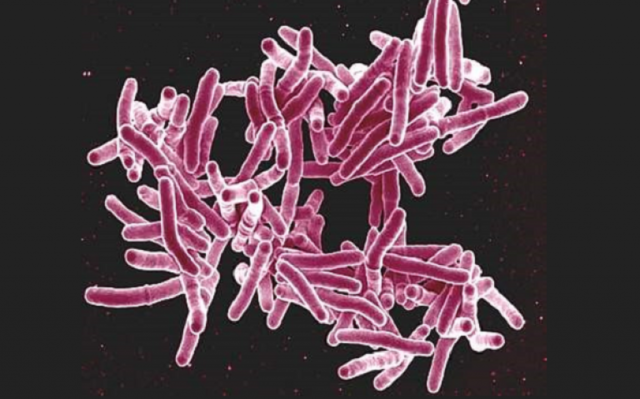 What is Tuberculosis?(date is when TB was first written about in India)