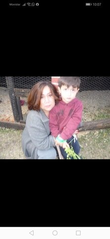 Mi primer ida a la granja