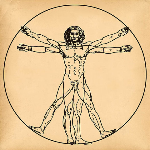 Renacimiento y la ilustración