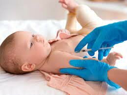 nacimiento de la vacuno