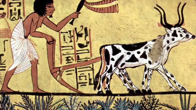 Agricultura-remedaria-arada