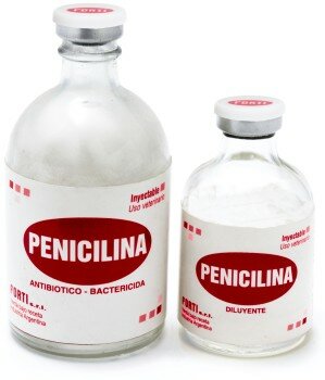 PENICILINA