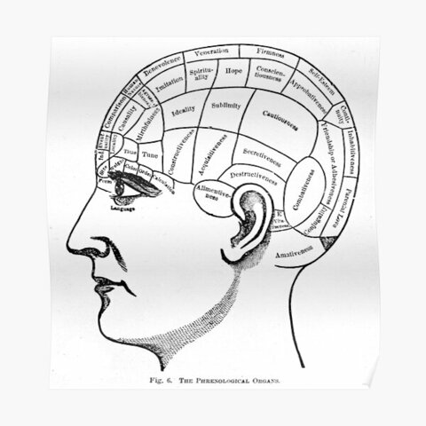 Teoría del campo agregado