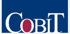 Características del COBIT 1- Auditoría.