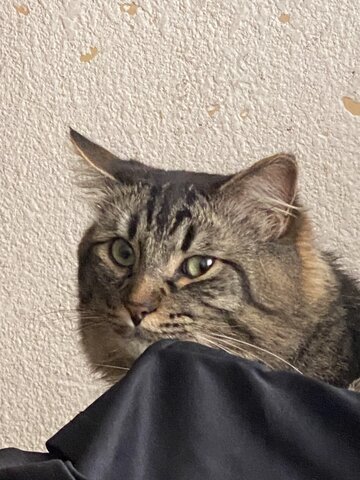 Inicio de mis estudios