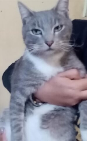 Inicio de mi época de secundaria