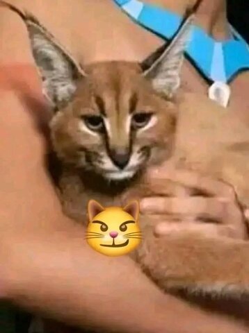 Hora de presentar exámenes para la universidad