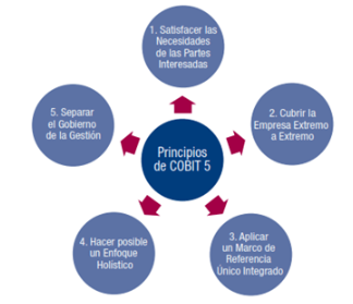 5 Principio de COBIT 5- Gobierno de TI en la empresa.