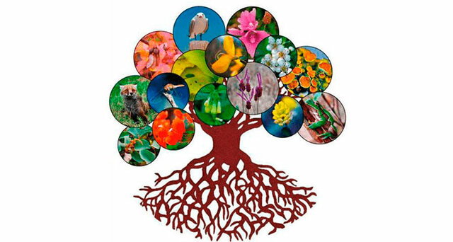 Día Internacional de la Diversidad Biológica