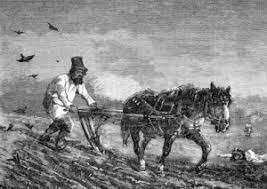 Создание "вольных хлебопашцев"