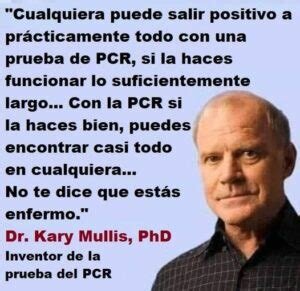 Las pruebas PCR