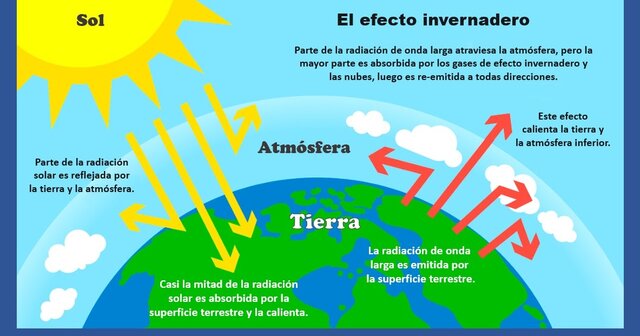 función de los gases