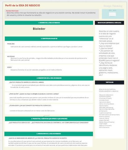 Planificacion de Idea de Negocio