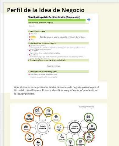 Realizacion de perfiles de negocio